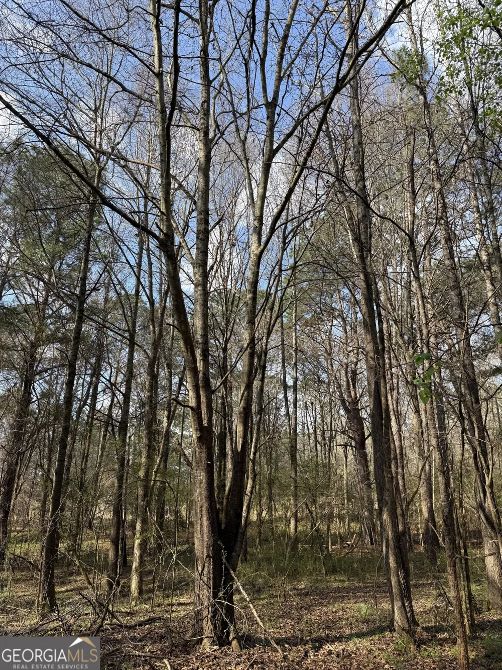 0 Saffold RD Buckhead, GA 30625