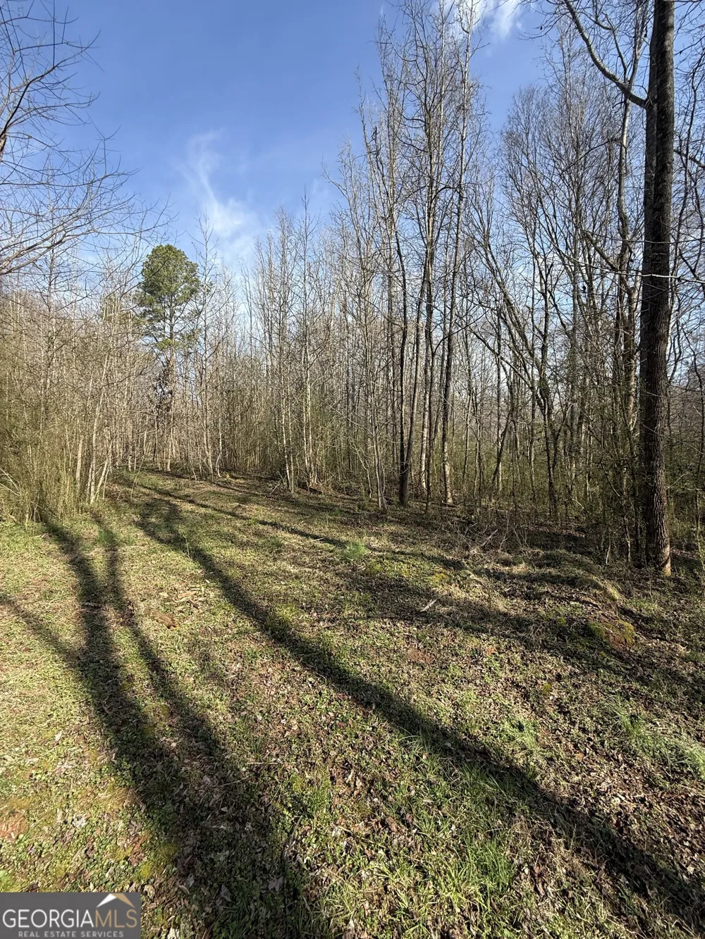 0 Saffold RD Buckhead, GA 30625