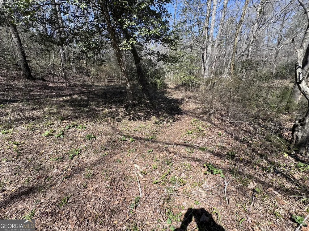0 River Ridge Carnesville, GA 30521