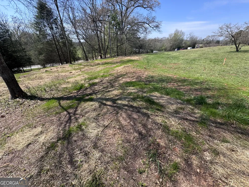0 River Ridge Carnesville, GA 30521