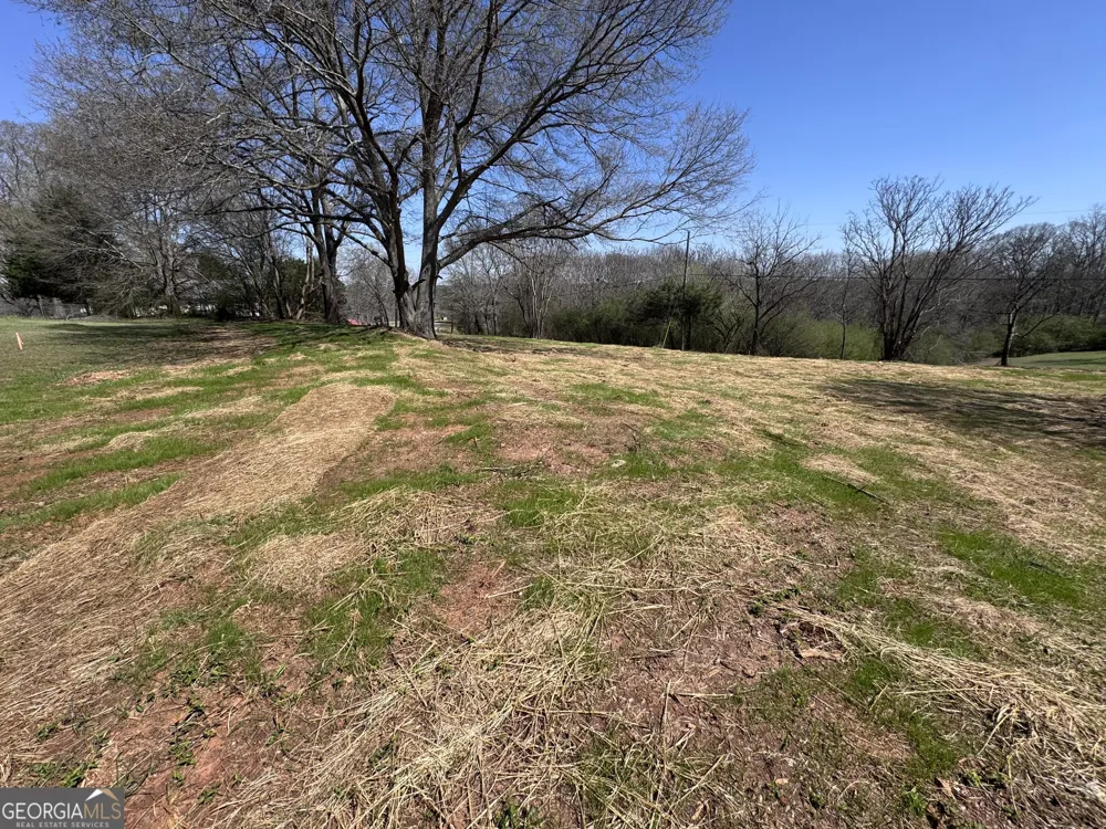 0 River Ridge Carnesville, GA 30521