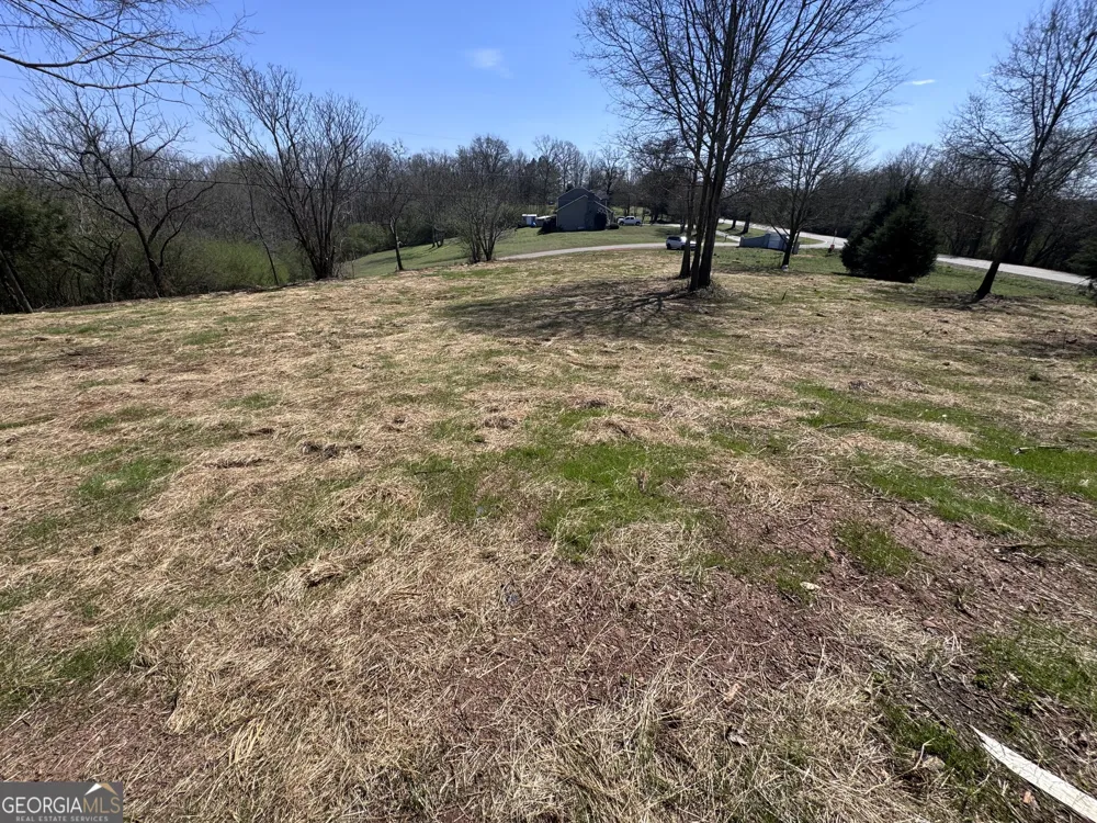 0 River Ridge Carnesville, GA 30521