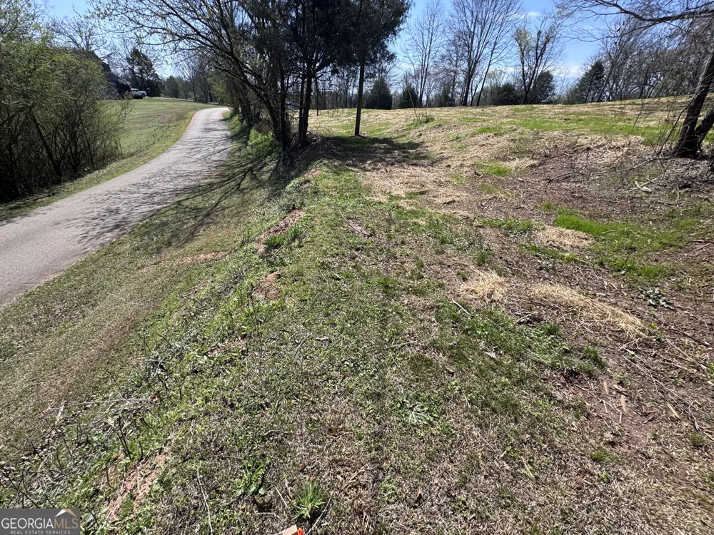 0 River Ridge Carnesville, GA 30521