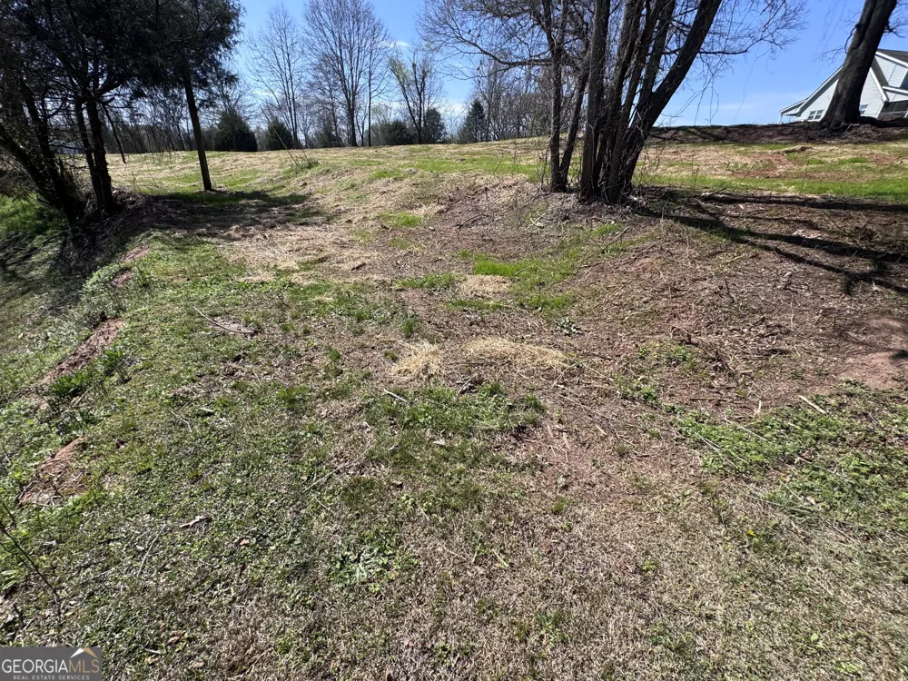 0 River Ridge Carnesville, GA 30521