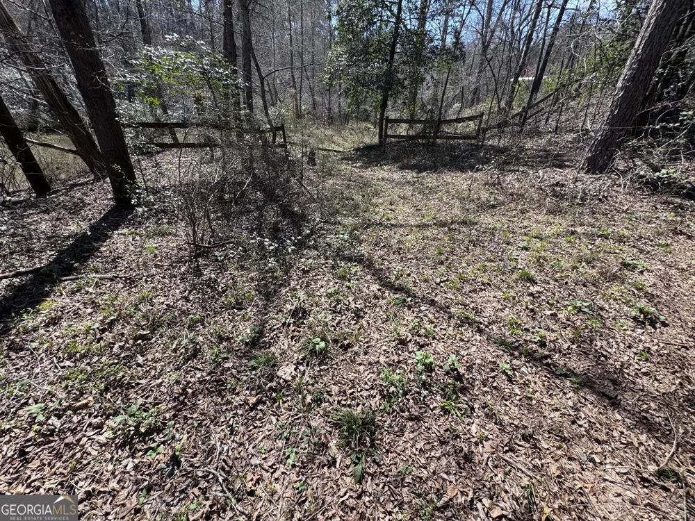 0 River Ridge Carnesville, GA 30521