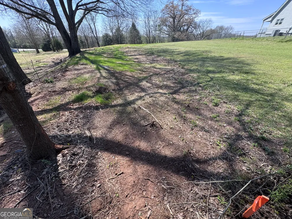 0 River Ridge Carnesville, GA 30521