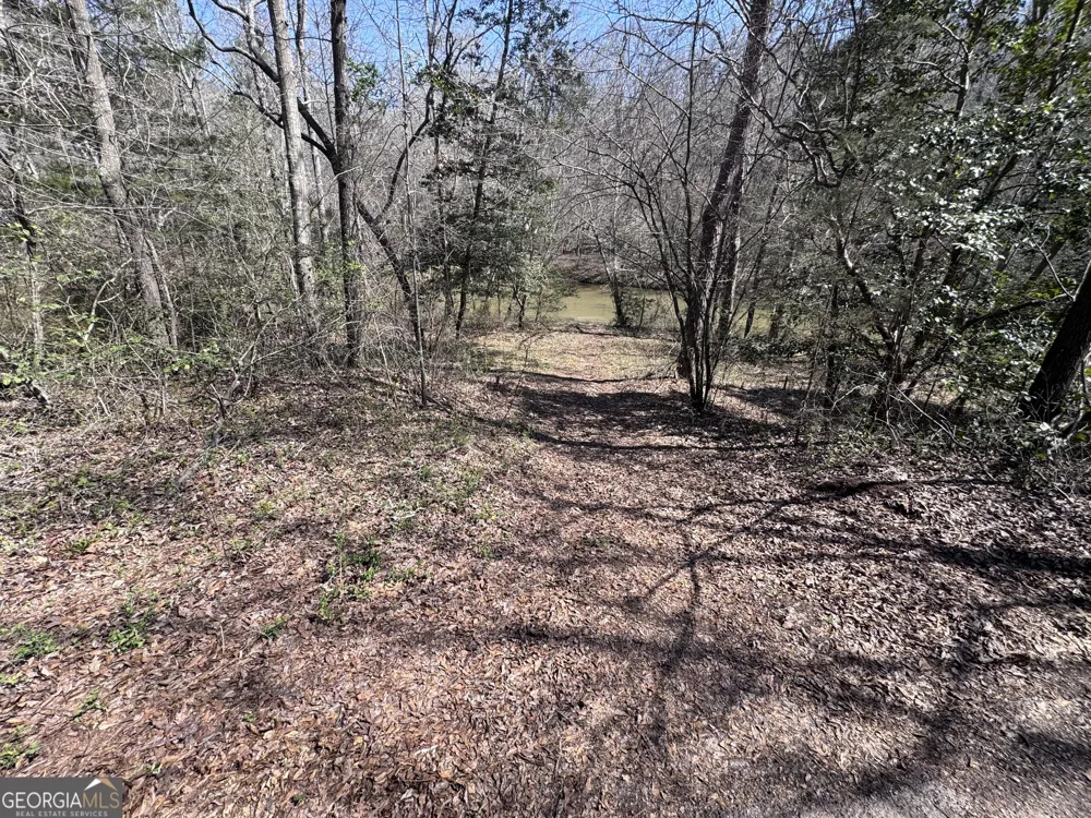 0 River Ridge Carnesville, GA 30521