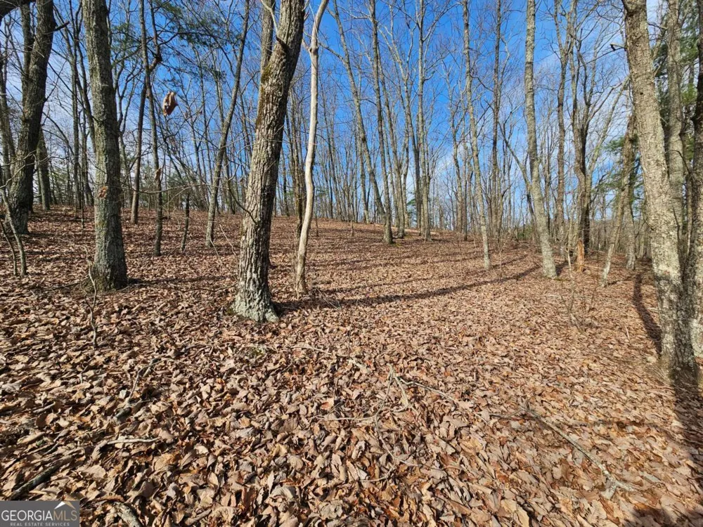 0 Old Federal RD Dawsonville, GA 30534