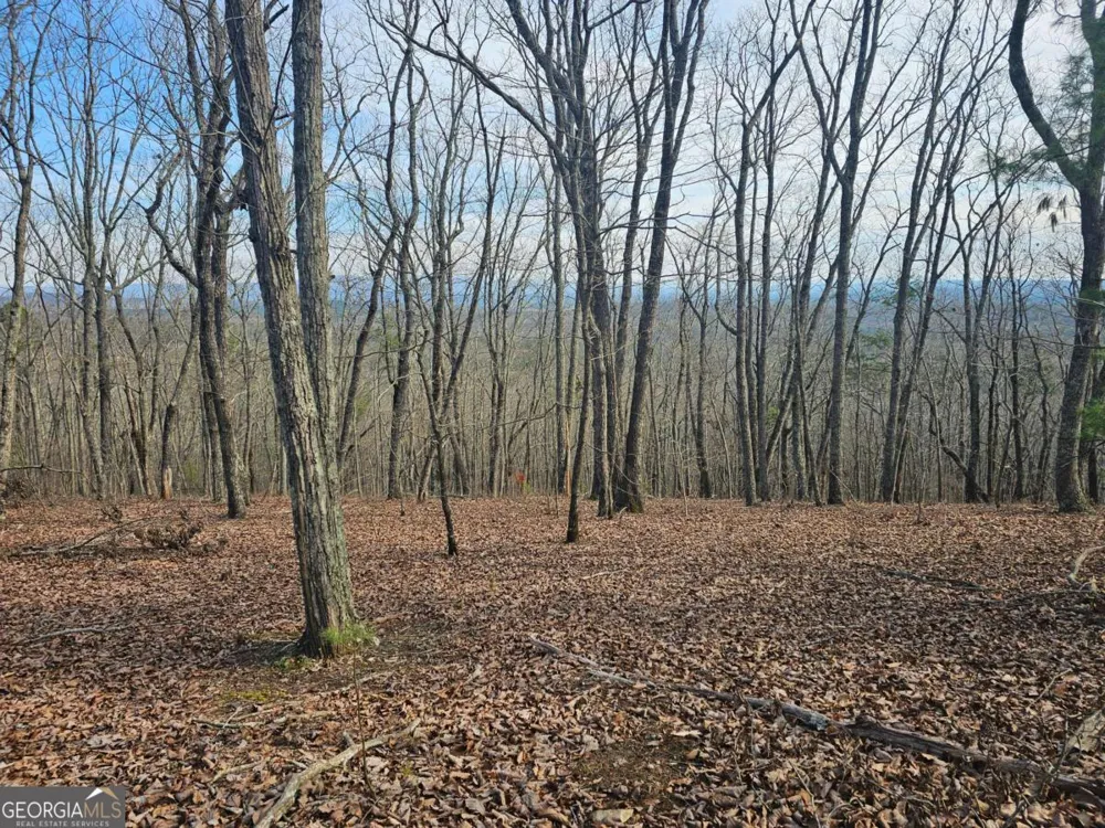0 Old Federal RD Dawsonville, GA 30534