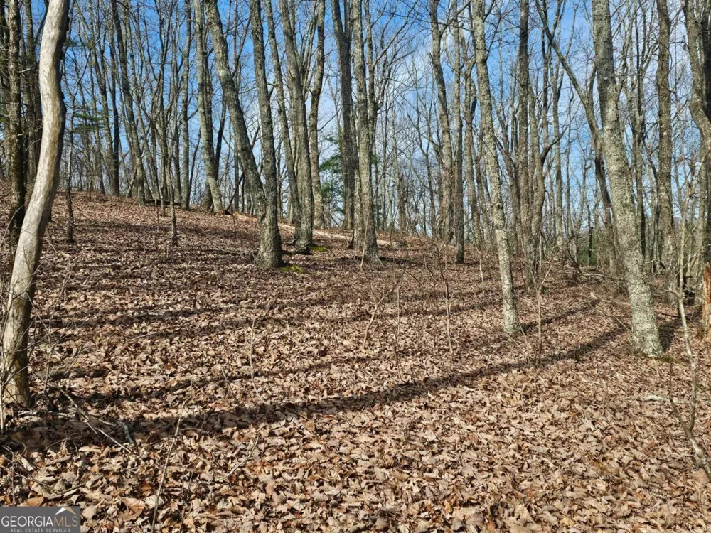 0 Old Federal RD Dawsonville, GA 30534
