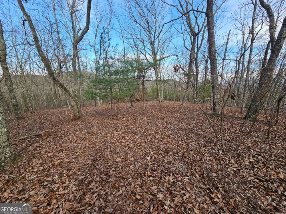 0 Old Federal RD Dawsonville, GA 30534