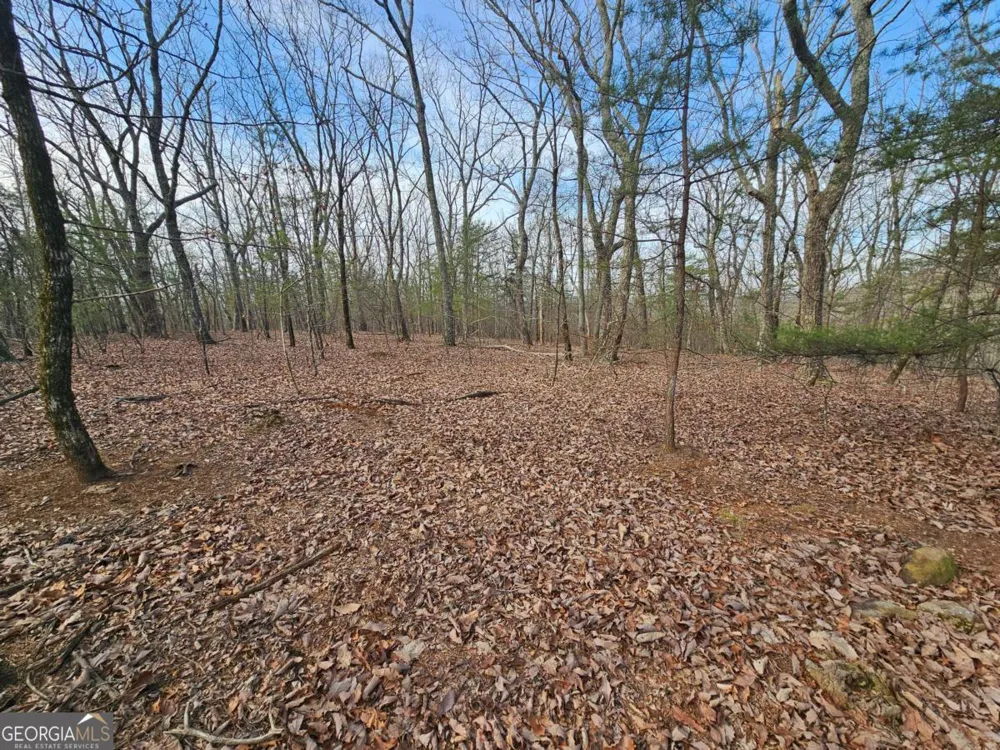 0 Old Federal RD Dawsonville, GA 30534