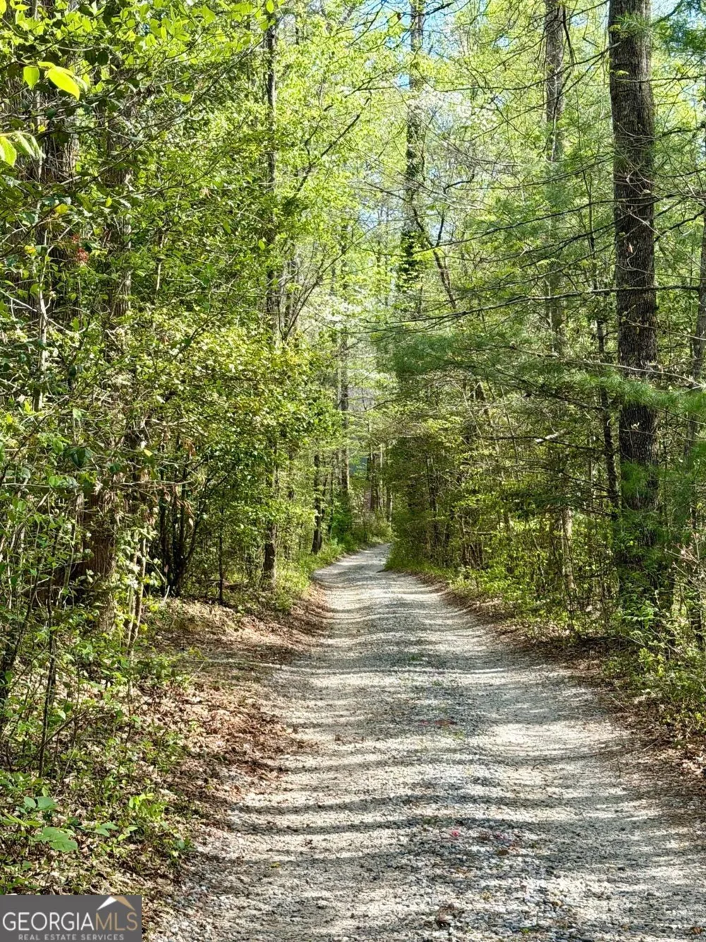 294 Brookwood LN Clarkesville, GA 30523