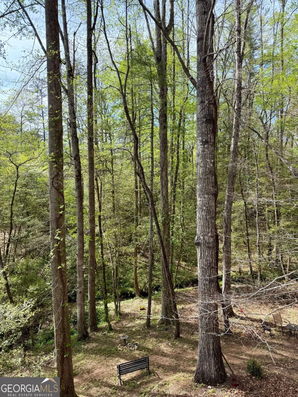 294 Brookwood LN Clarkesville, GA 30523