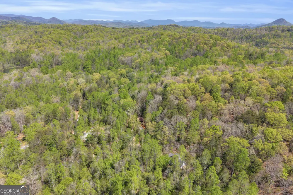 294 Brookwood LN Clarkesville, GA 30523