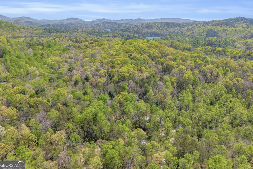 294 Brookwood LN Clarkesville, GA 30523