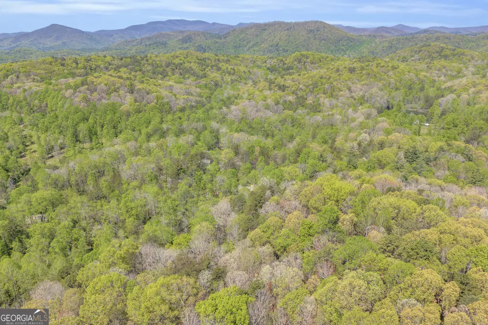 294 Brookwood LN Clarkesville, GA 30523