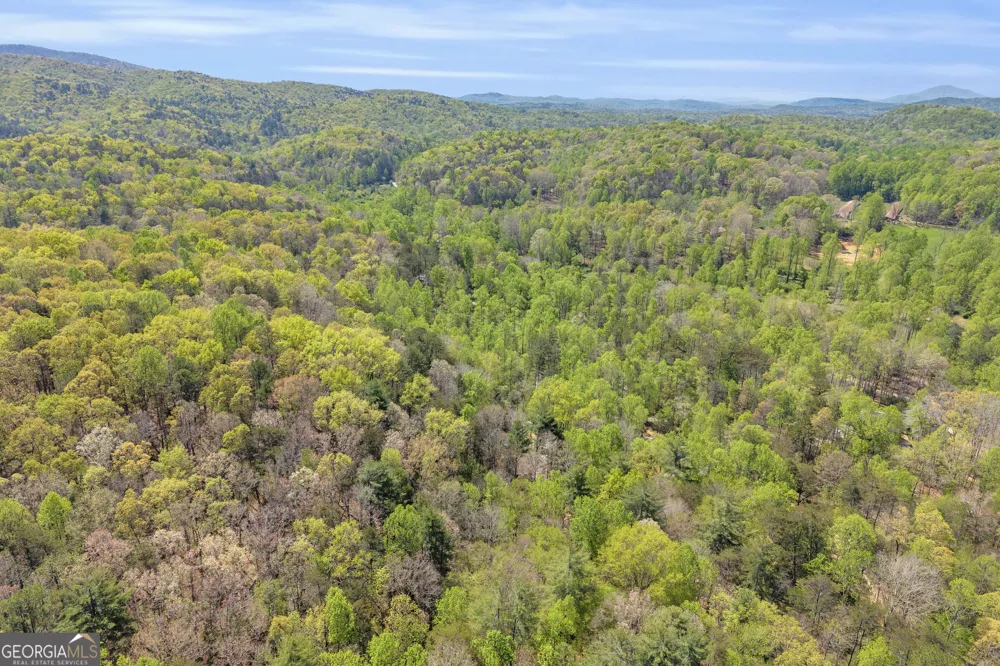 294 Brookwood LN Clarkesville, GA 30523