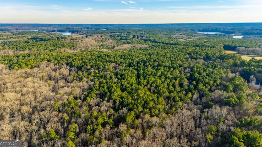 0 New Hope RD Locust Grove, GA 30248