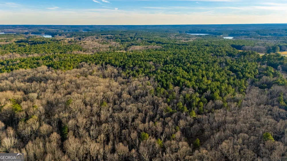 0 New Hope RD Locust Grove, GA 30248