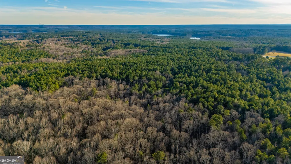 0 New Hope RD Locust Grove, GA 30248