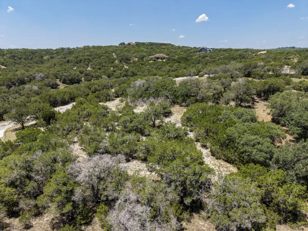 305 Angel Song Cove Spicewood, TX 78669