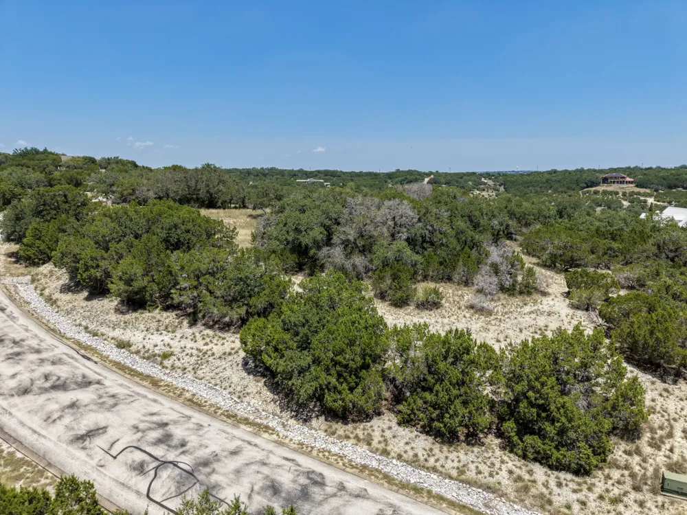 305 Angel Song Cove Spicewood, TX 78669