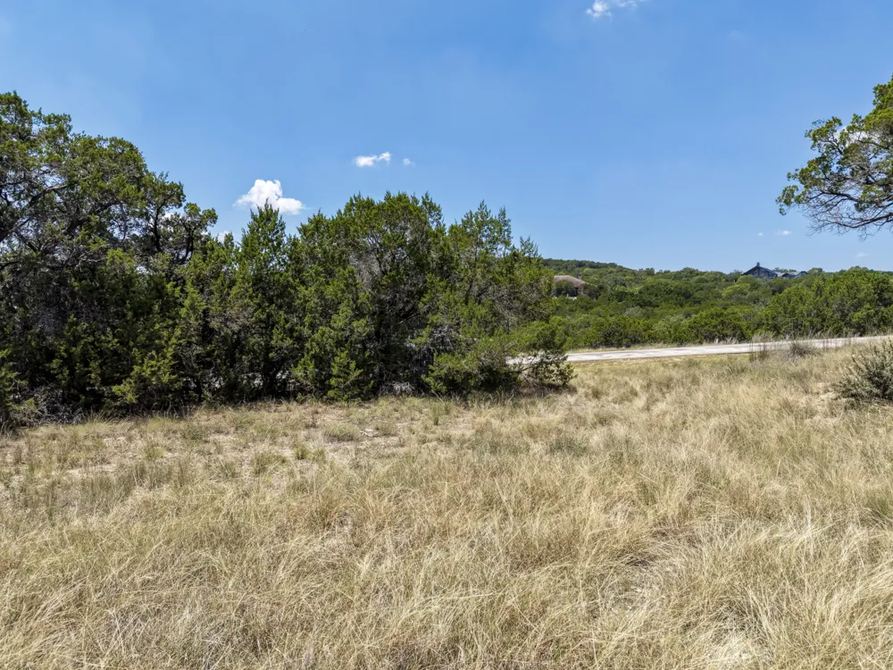 305 Angel Song Cove Spicewood, TX 78669
