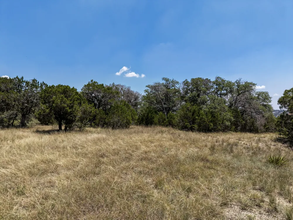 305 Angel Song Cove Spicewood, TX 78669
