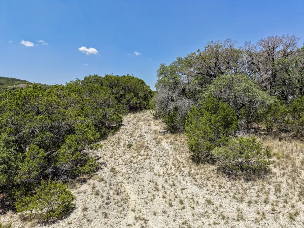 305 Angel Song Cove Spicewood, TX 78669