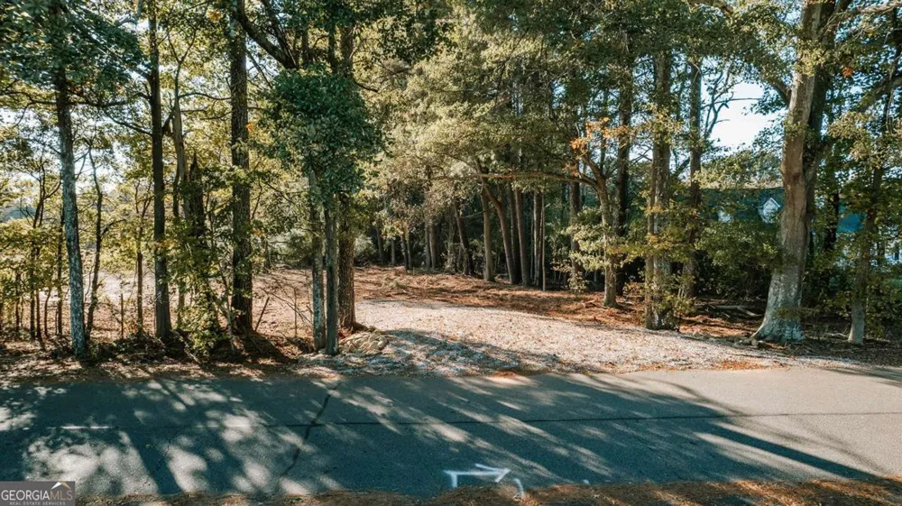 TRACT 56 Lakeview DR Winterville, GA 30683