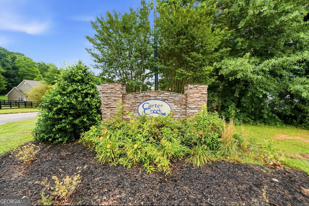 309 Carter Creek DR Temple, GA 30179