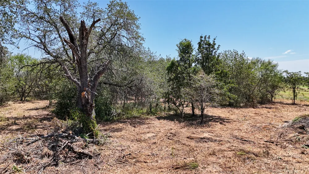 4177 Old Colony Line Road Lockhart, TX 78644