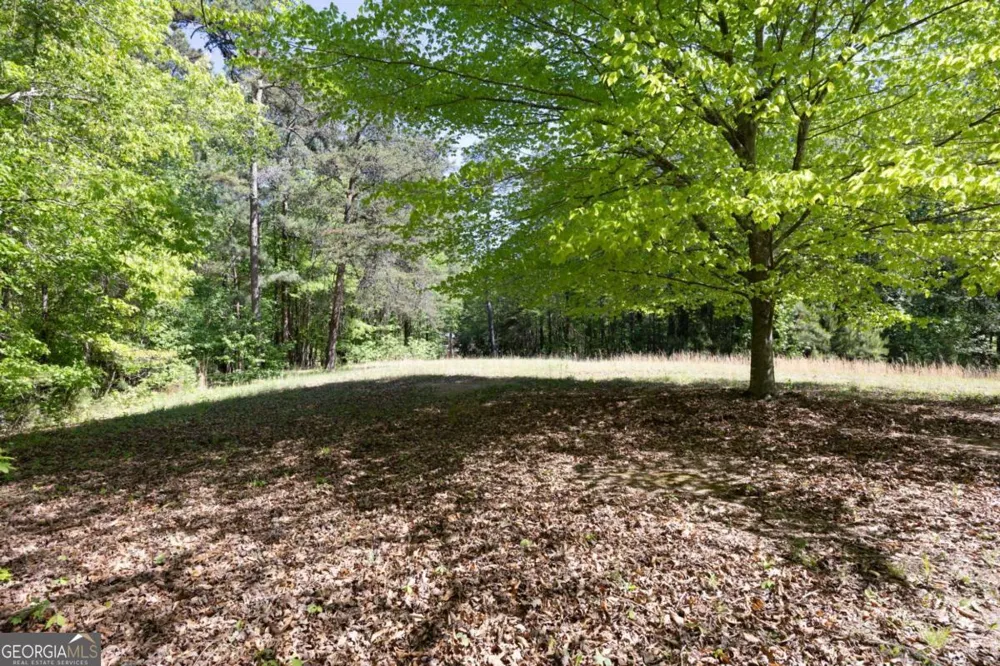 8277 Buchanan HWY Dallas, GA 30157