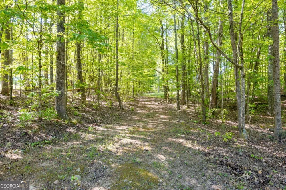 8277 Buchanan HWY Dallas, GA 30157
