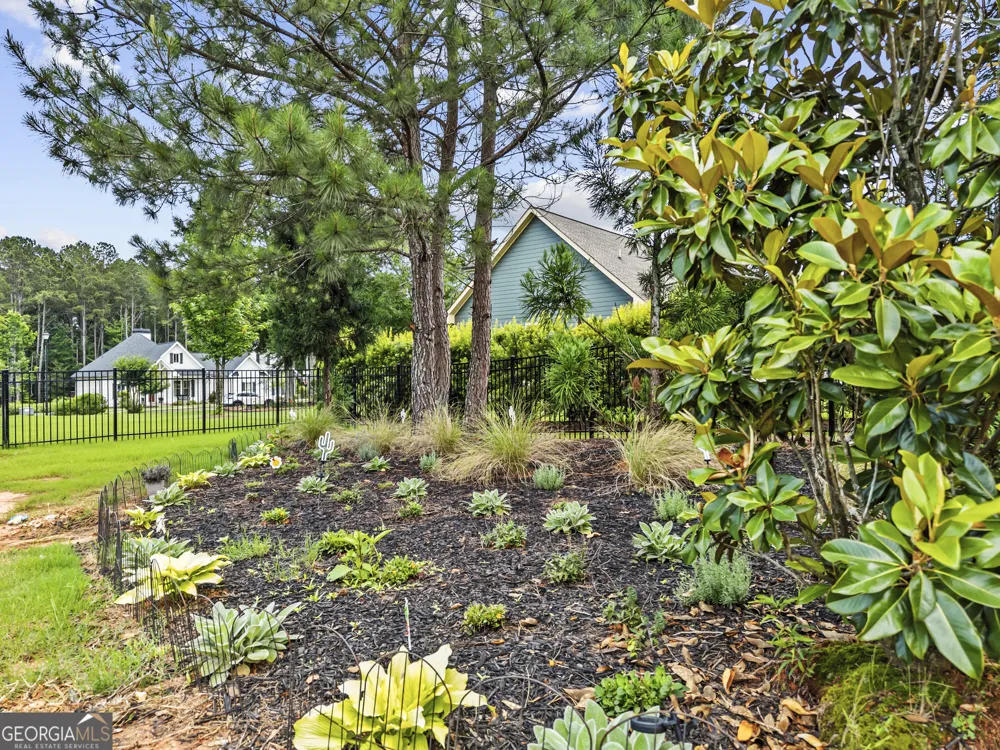 3223 Maddison AVE Watkinsville, GA 30677