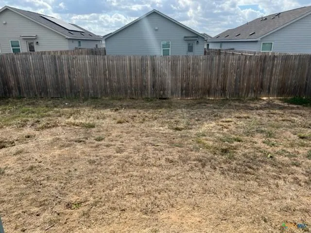 1913 Green Warbler New Braunfels, TX 78130
