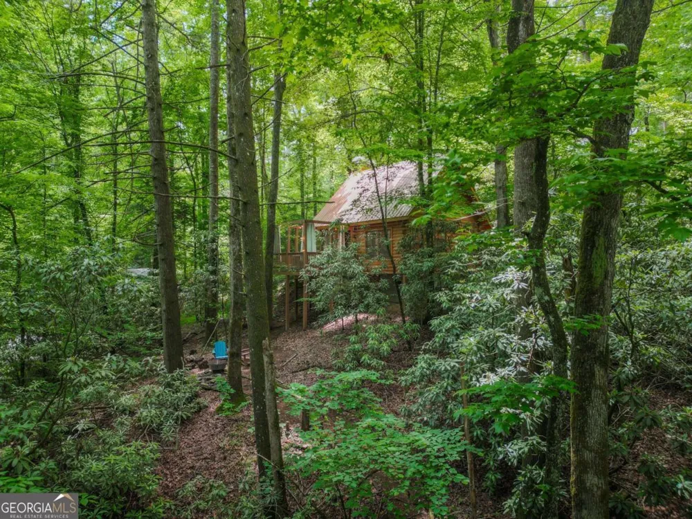 14 Finch Lane Cherry Log, GA 30522