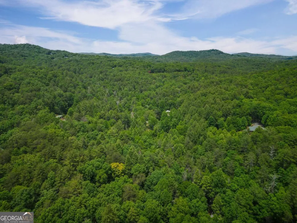 14 Finch Lane Cherry Log, GA 30522