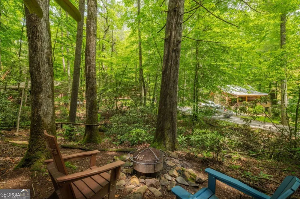 14 Finch Lane Cherry Log, GA 30522