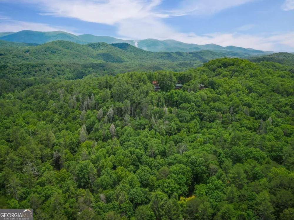 14 Finch Lane Cherry Log, GA 30522