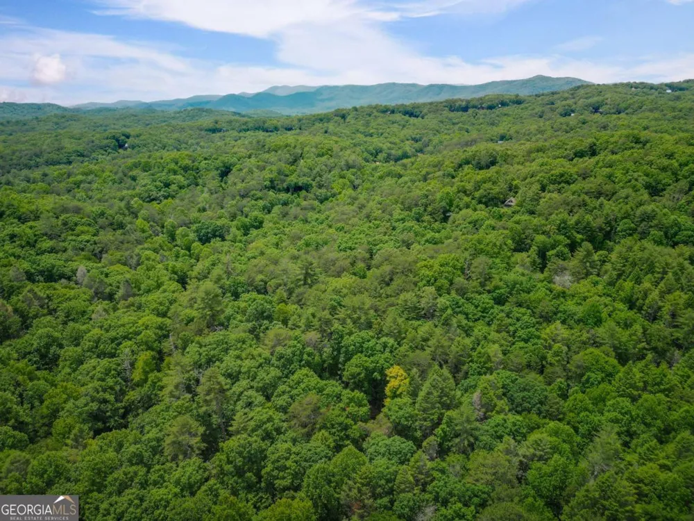 14 Finch Lane Cherry Log, GA 30522