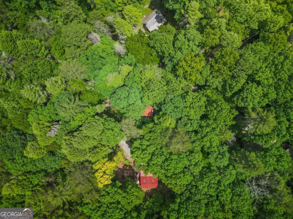 14 Finch Lane Cherry Log, GA 30522