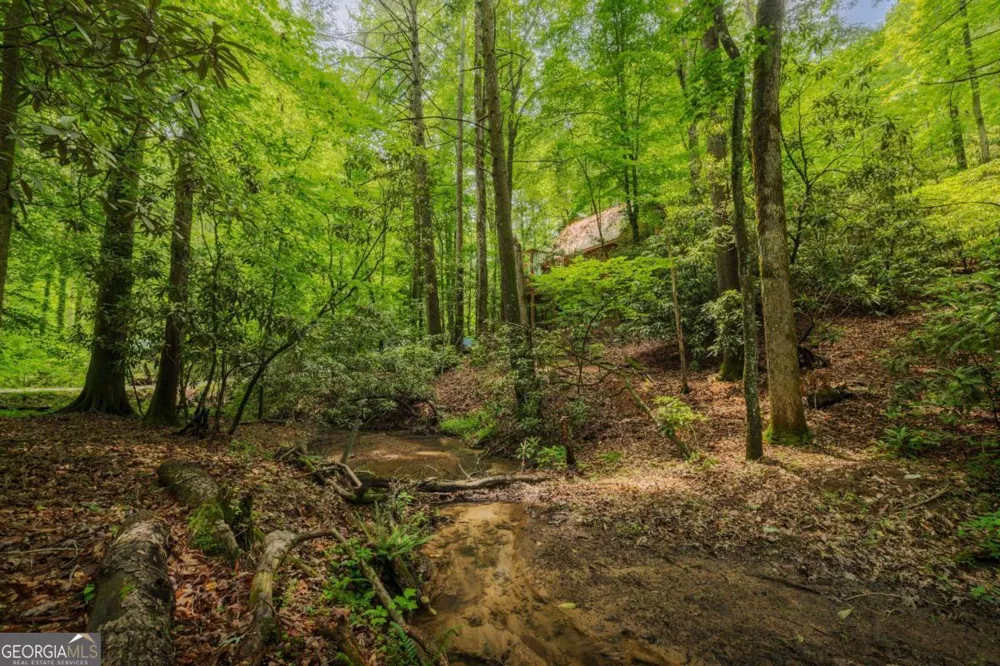 14 Finch Lane Cherry Log, GA 30522