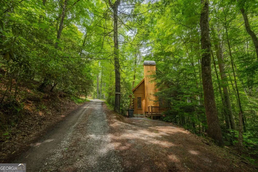 14 Finch Lane Cherry Log, GA 30522