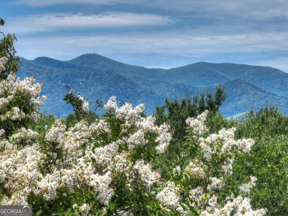 159 Victoria DR Blairsville, GA 30512