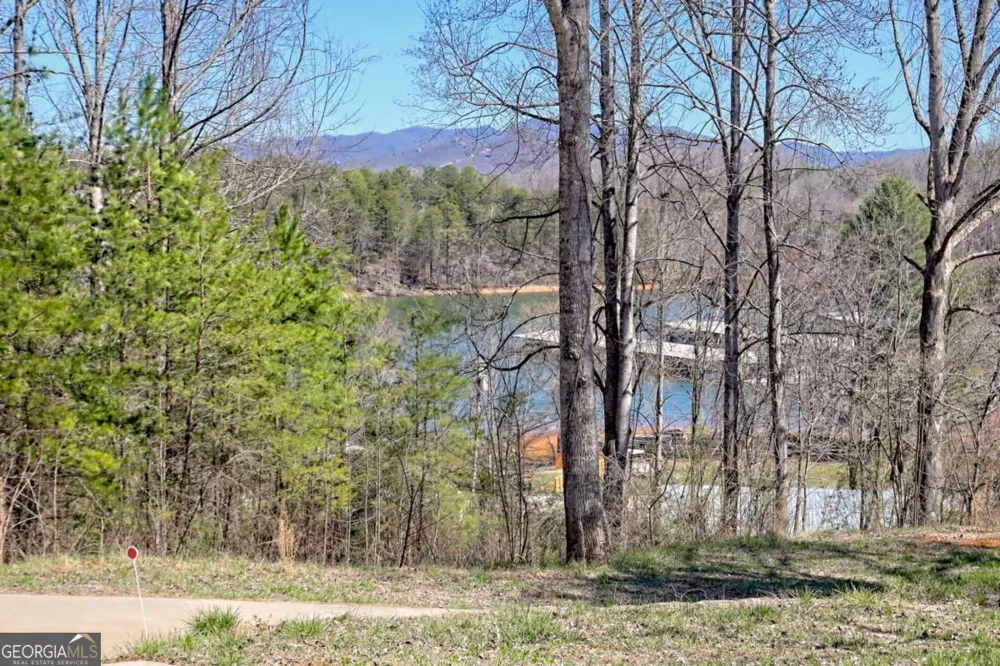 521 Sunnyside RD Hiawassee, GA 30546