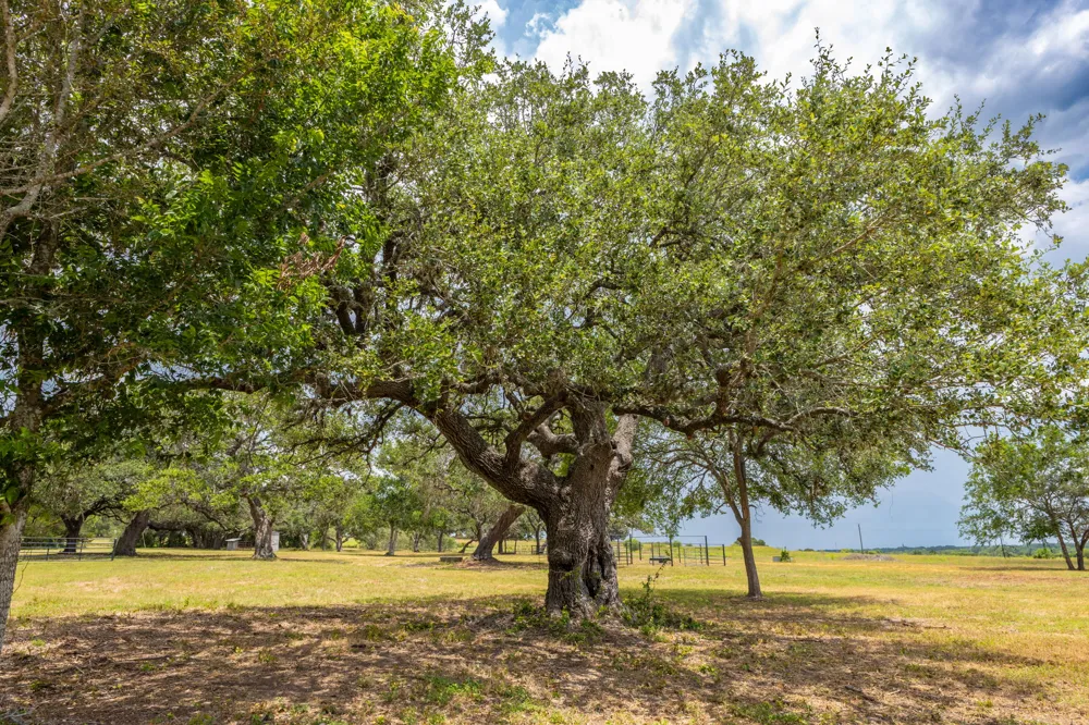 2160 Baca Loop Flatonia, TX 78941