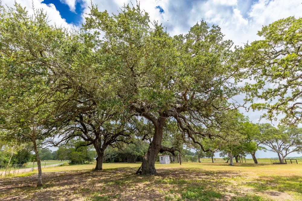 2160 Baca Loop Flatonia, TX 78941