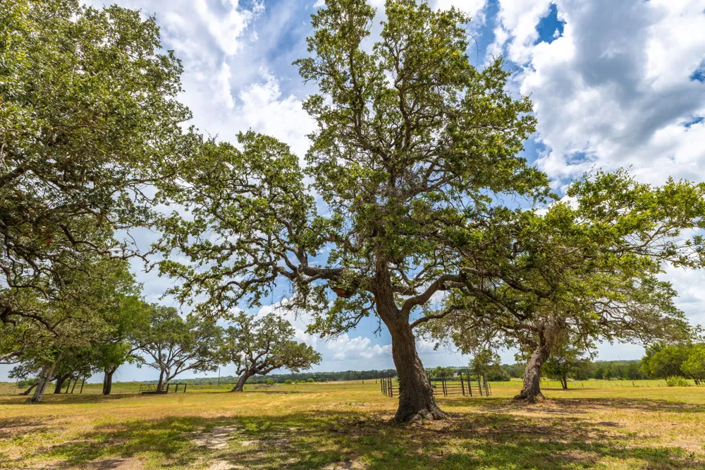 2160 Baca Loop Flatonia, TX 78941